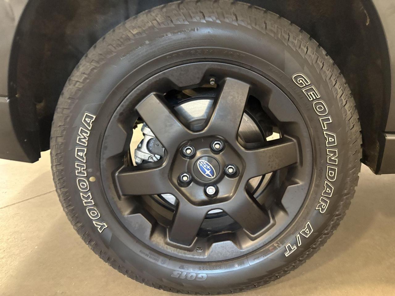 2023 Subaru Outback Wilderness Parker CO