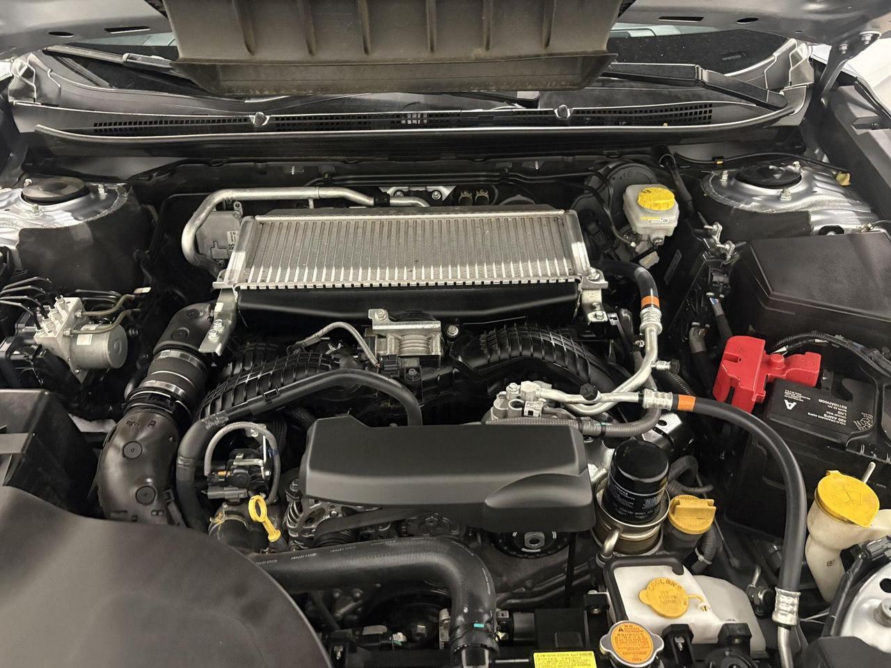 2023 Subaru Outback Wilderness Parker CO