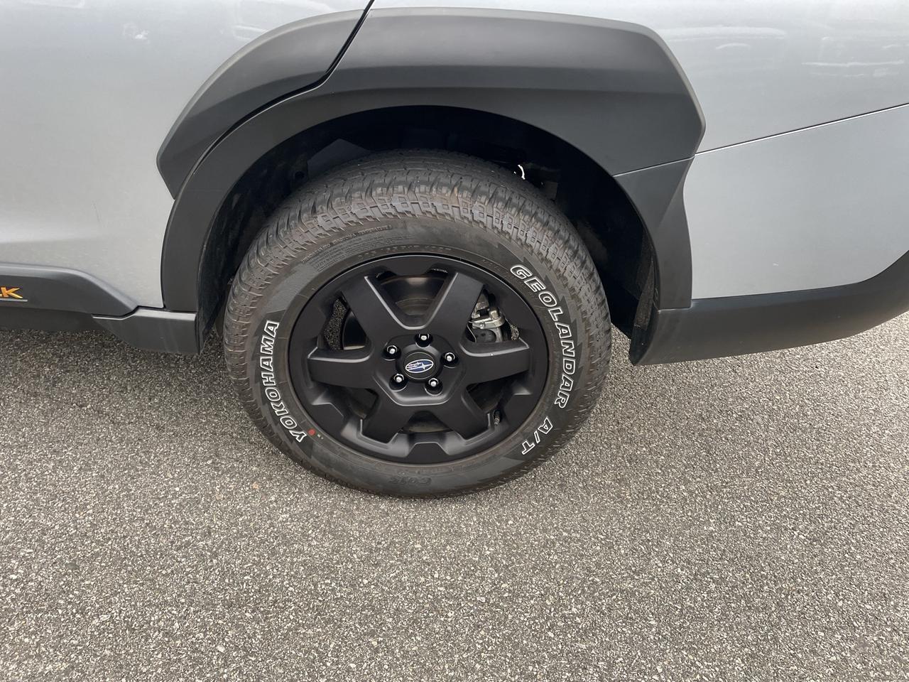 2023 Subaru Outback Wilderness Springfield VA