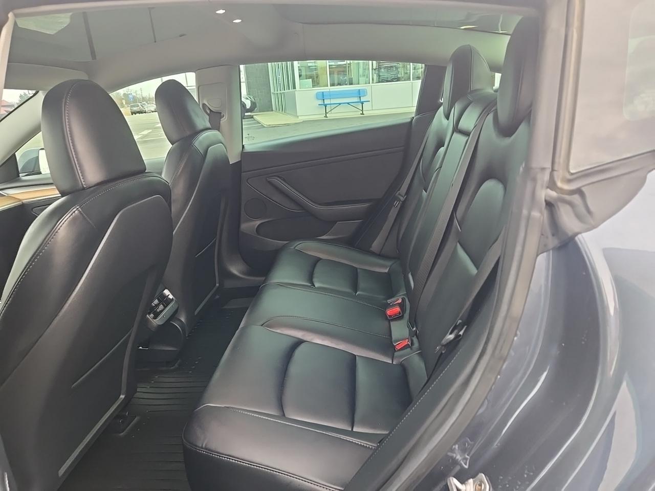 2023 Tesla Model 3 Performance Fredericksburg VA