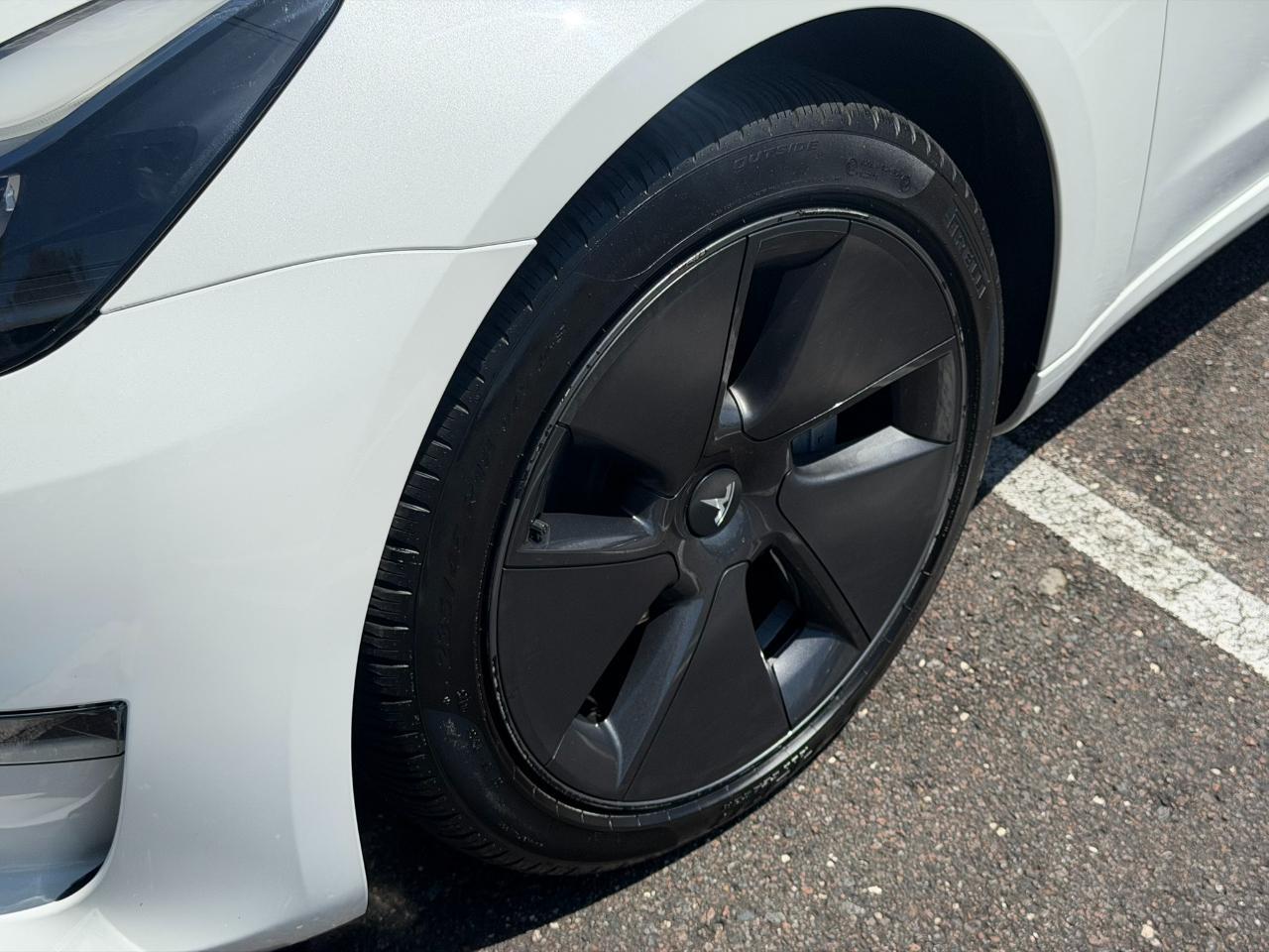 2023 Tesla Model 3 RWD Jacksonville FL