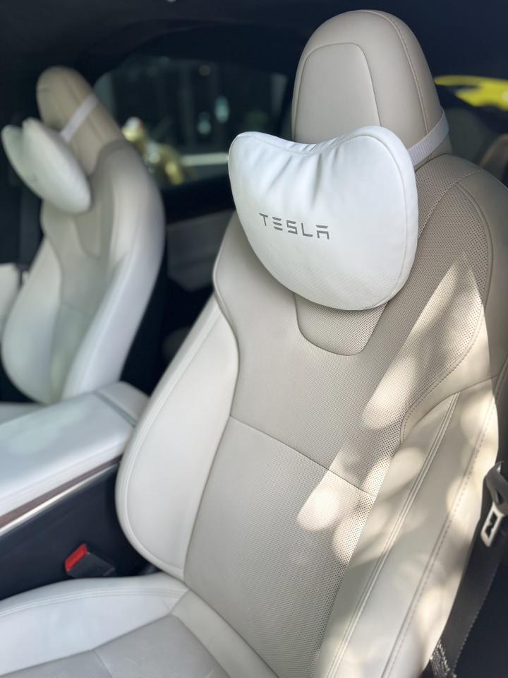 2023 Tesla Model X Spring Branch TX