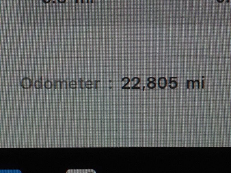 2023 Tesla Model Y Performance AWD *AUTOPILOT, NAVIGATION, SAFETY ALERTS, ADAPTIVE CRUISE, SURROUND VIEW CAMERAS, PANORAMA GLASS ROOF, HEATED SEATS, 21 INCH UBERTURBINE WHEELS, WIRELESS CHARGING Round Rock TX