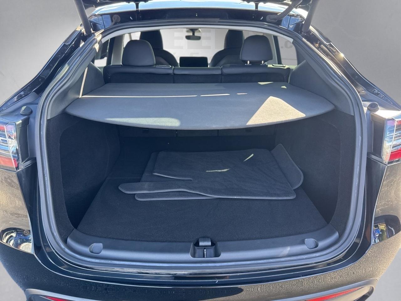 2023 Tesla Model Y Performance Richmond VA