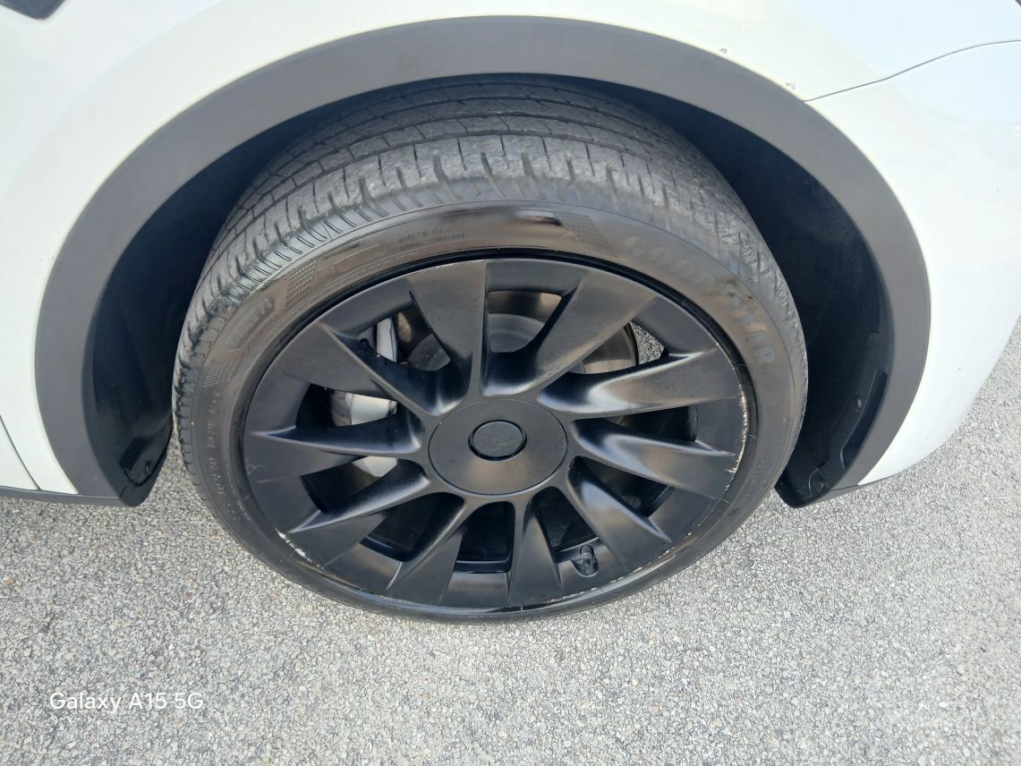 2023 Tesla Model Y Standard Sport Utility 4D Maitland FL