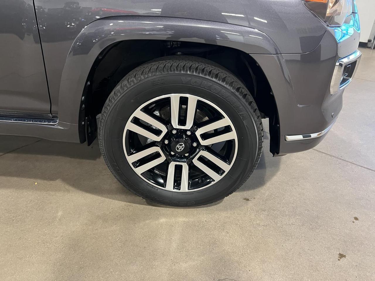 2023 Toyota 4Runner Limited Parker CO