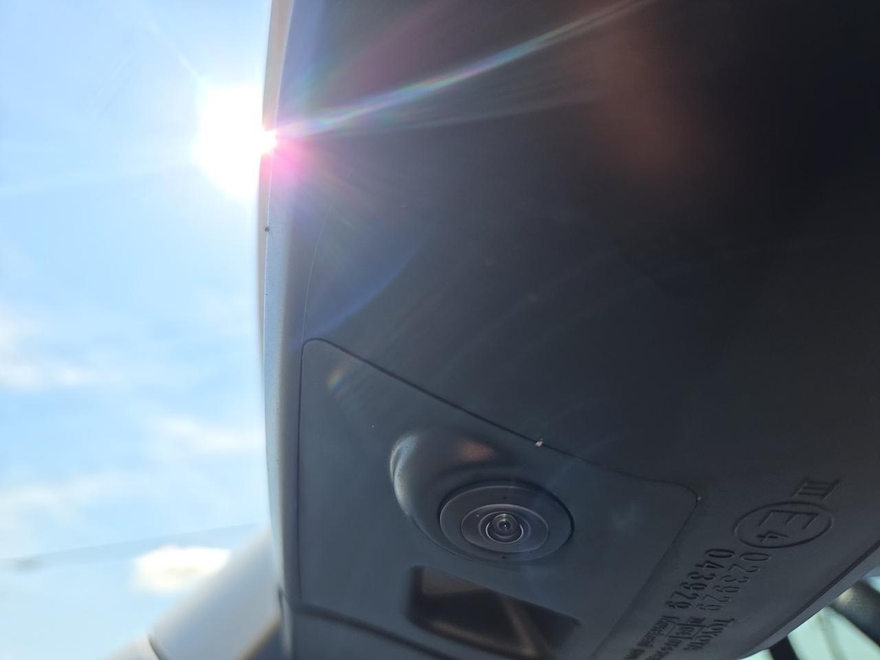 2023 Toyota 4Runner Limited Fredericksburg VA