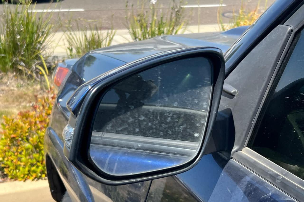 2023 Toyota 4Runner TRD Off Road Premium Roseville CA