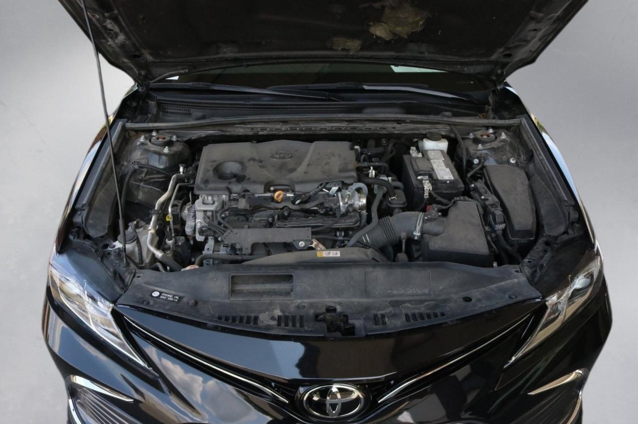 2023 Toyota Camry LE Fredericksburg VA