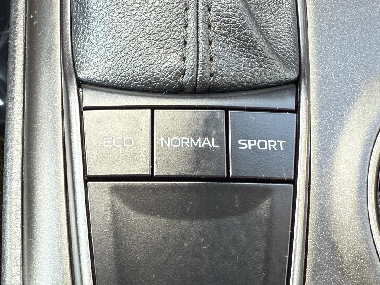 2023 Toyota Camry SE Stafford VA