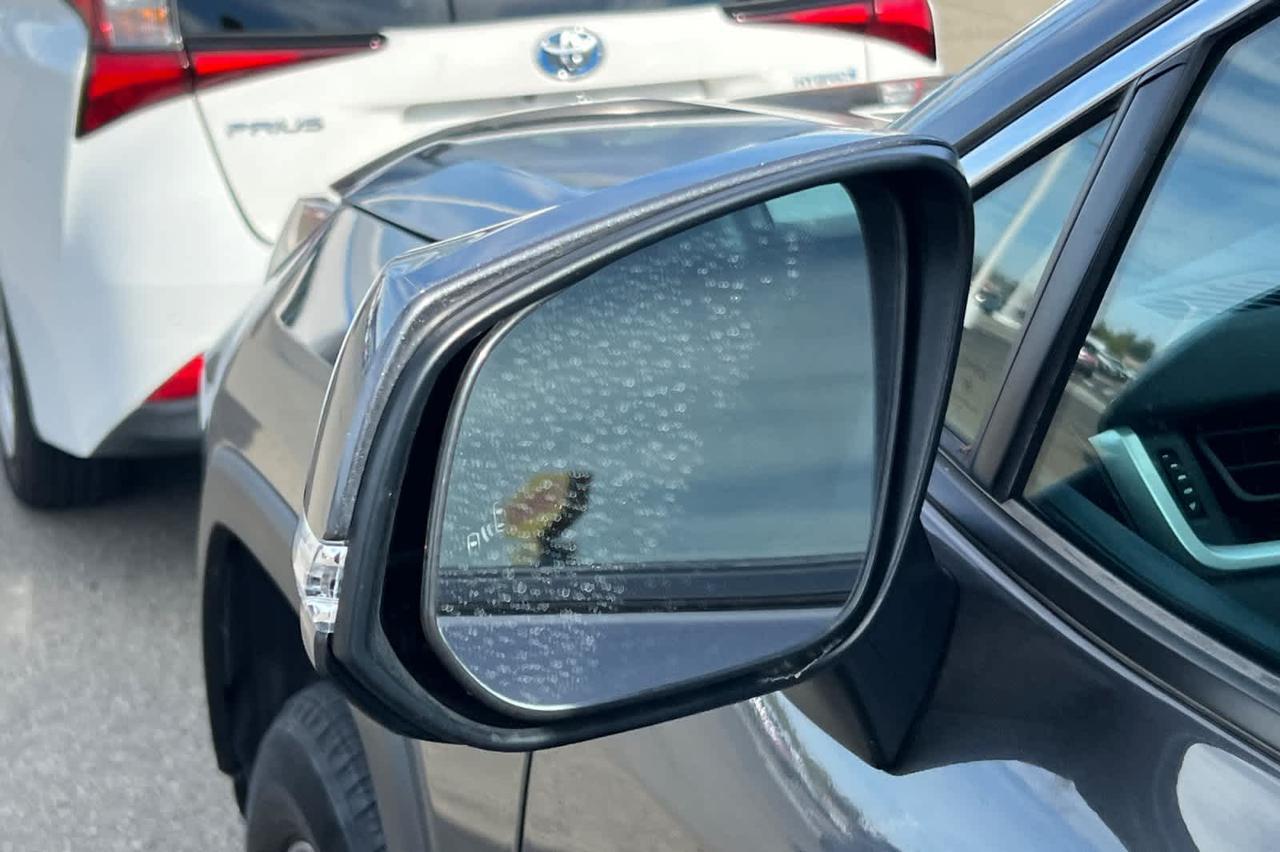 2023 Toyota RAV4 Hybrid LE Roseville CA