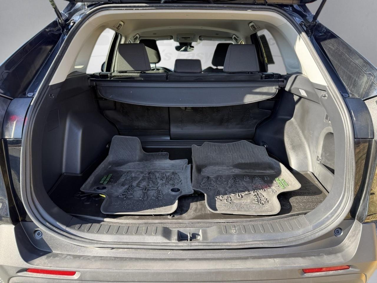 2023 Toyota RAV4 Hybrid Woodland Edition Stafford VA