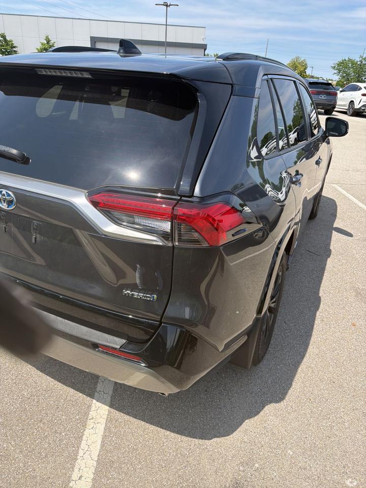 2023 Toyota RAV4 Hybrid XSE Indianapolis IN