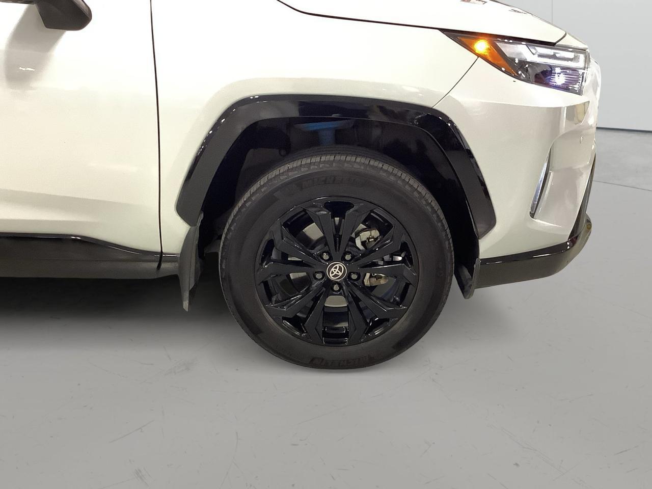2023 Toyota RAV4 Hybrid XSE New Braunfels TX