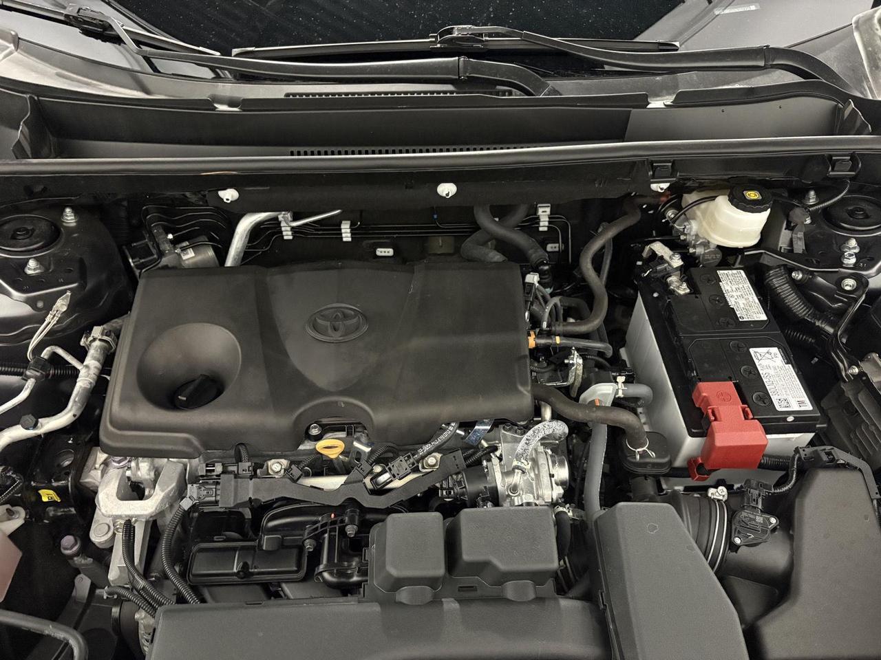 2023 Toyota RAV4 LE Parker CO