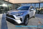 2023 Toyota RAV4 XLE Premium / AWD / Weather Pkg / Power & Heated Leather Seats / Heated Steering Wheel / Sunroof / Lane Depart & Blind Spot Alert / Apple CarPlay & Android Auto / Back Up Camera / Keyless Entry & Start / 1-Owner