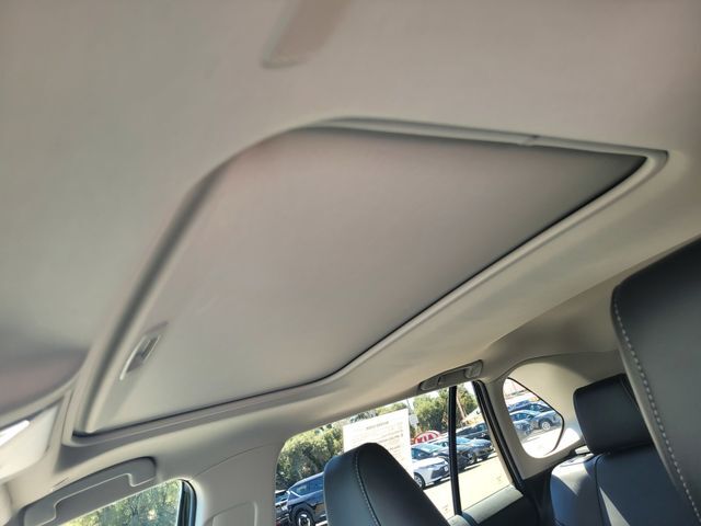 2023 Toyota RAV4 XLE Premium Folsom CA
