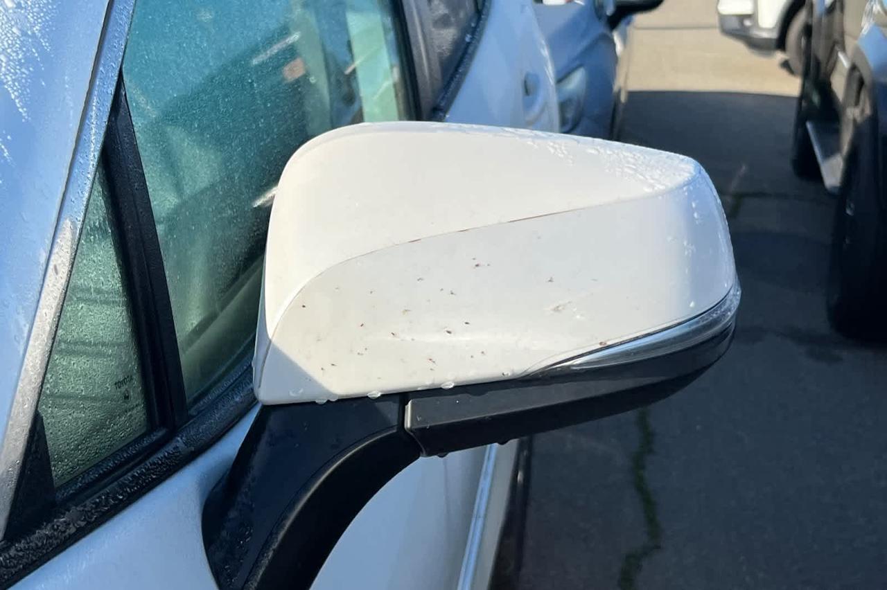 2023 Toyota RAV4 XLE Premium Roseville CA