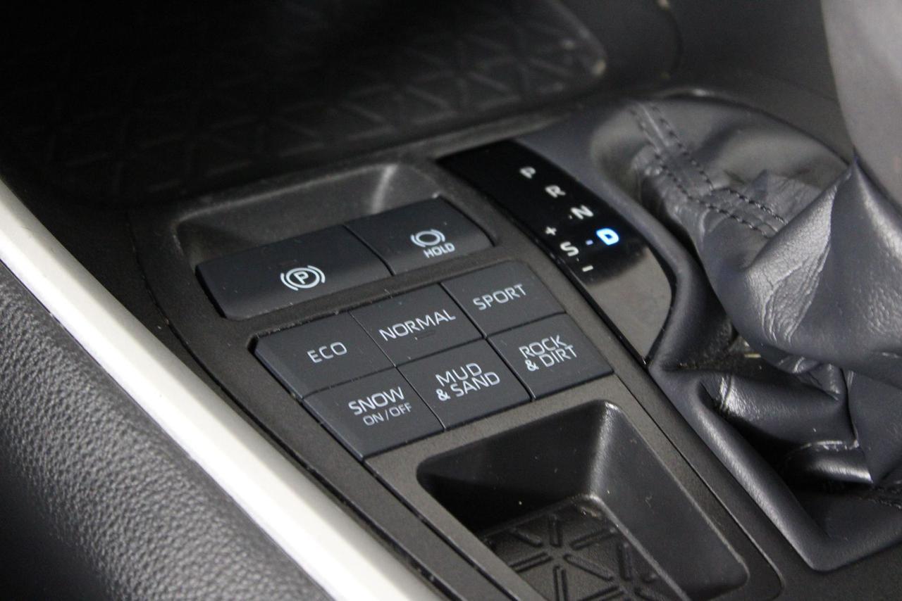 2023 Toyota RAV4 XLE Premium Fredericksburg VA