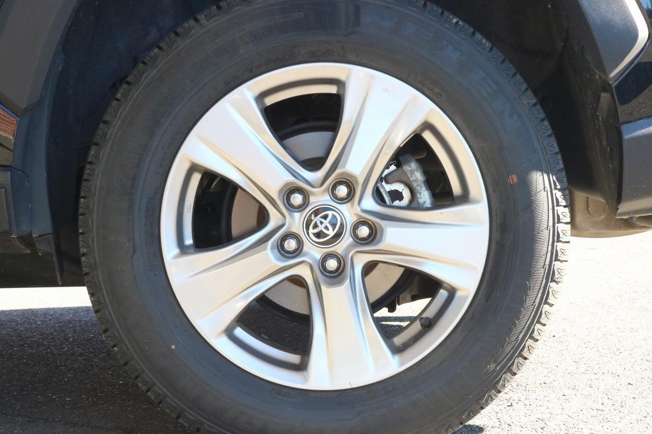 2023 Toyota RAV4 XLE Fredericksburg VA