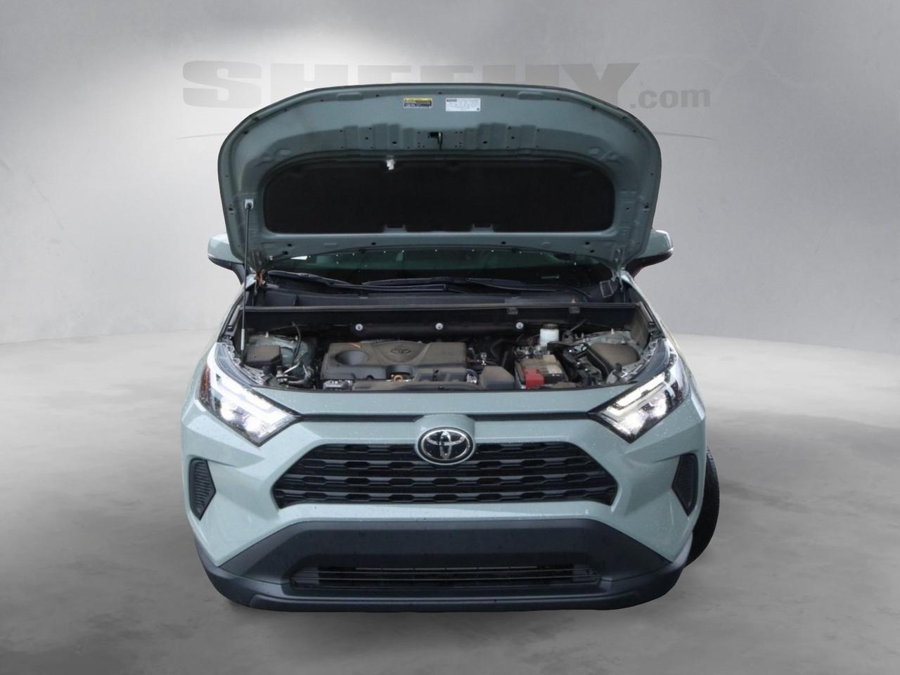 2023 Toyota RAV4 XLE Fredericksburg VA