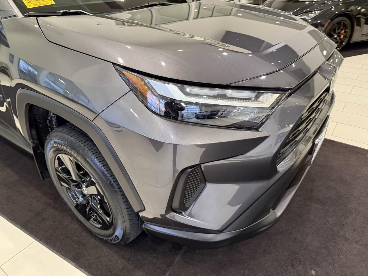 2023 Toyota RAV4 XLE Annapolis MD