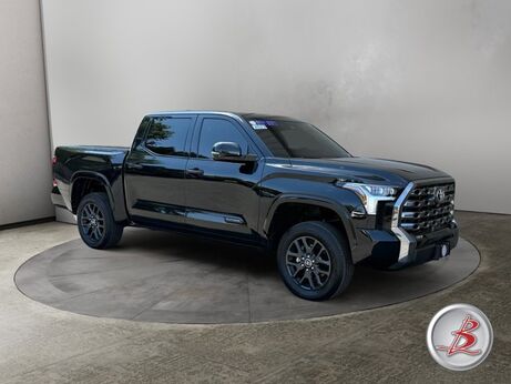 2023_Toyota_TUNDRA 4WD_Platinum_ Salt Lake City UT