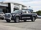 2023 Toyota Tundra 2WD 1794 Edition Wilson NC