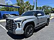 2023 Toyota Tundra 2WD Platinum