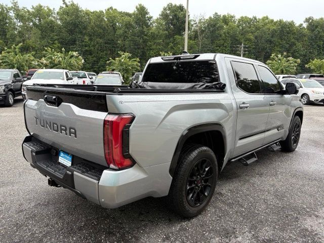 2023 Toyota Tundra Platinum Jacksonville FL