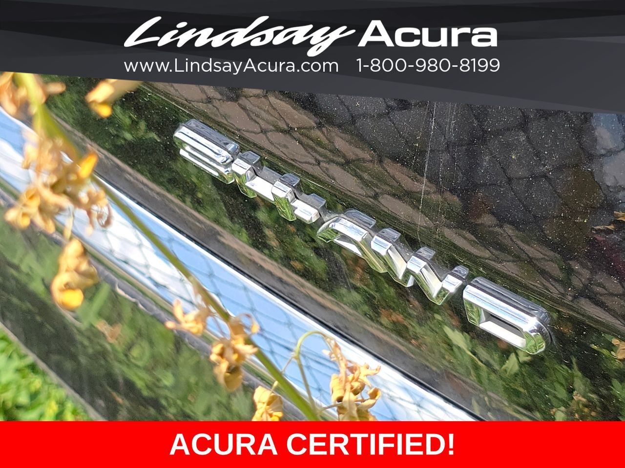 2024 Acura MDX Technology Columbus OH