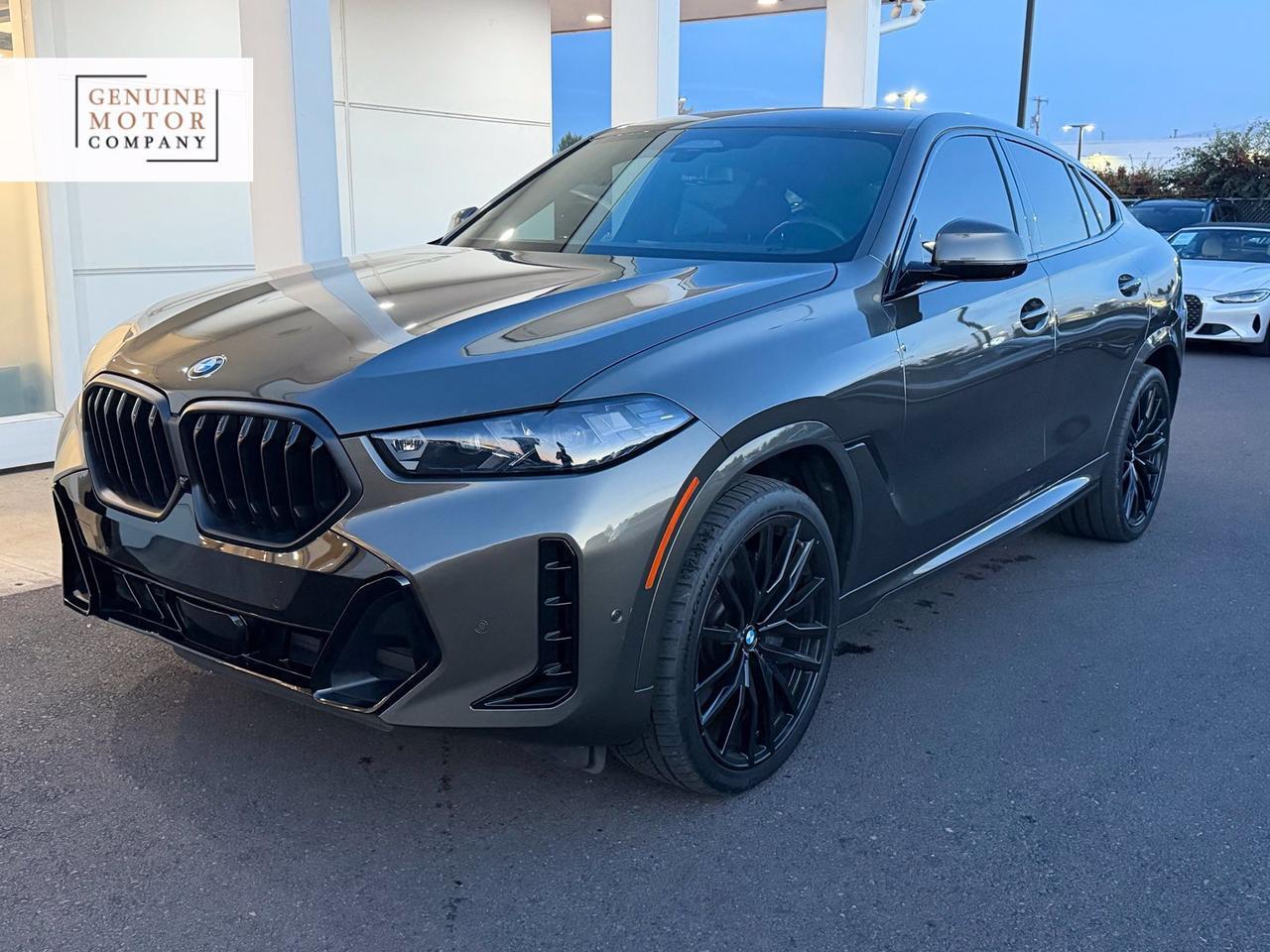 2024 Bmw X6