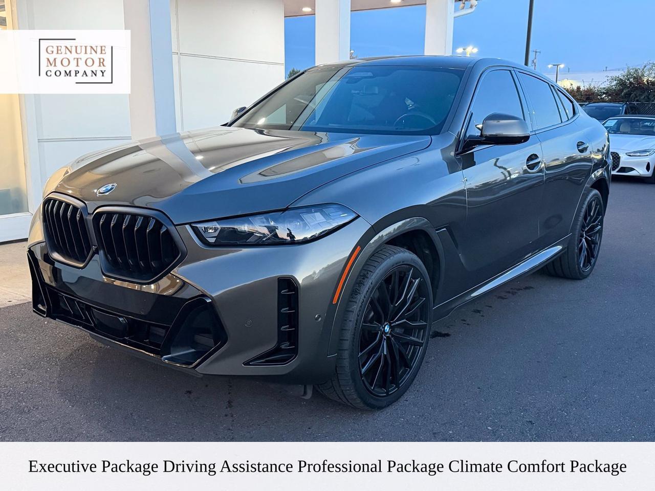 2024 Bmw X6