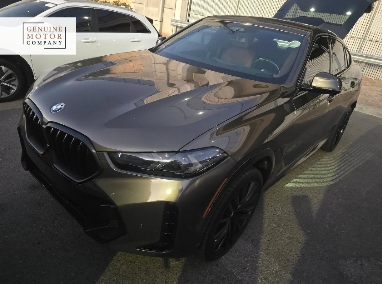 2024 BMW X6