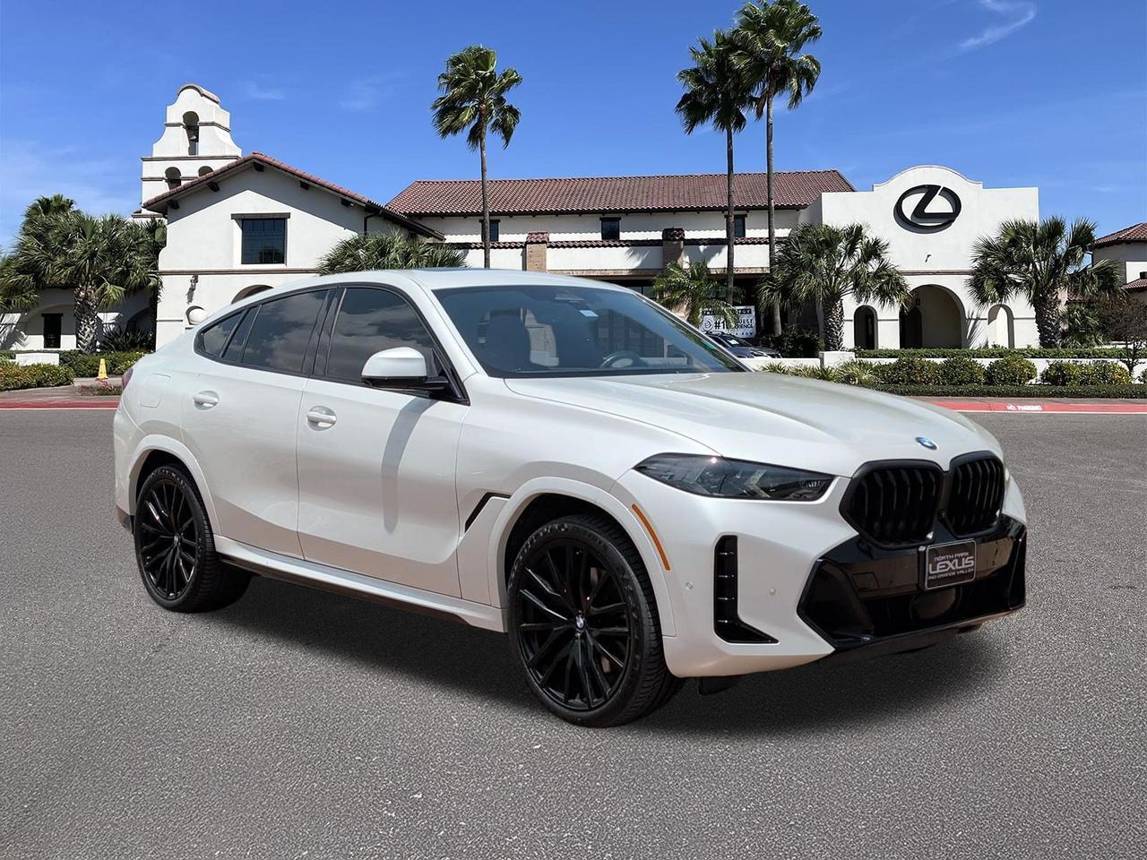 2024 BMW X6
