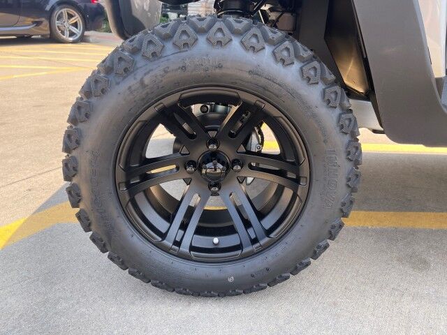 2024 Bintelli BEYOND 6PR STREET LEGAL LIFTED GOLF CART Springfield IL