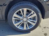 2024 Cadillac XT5 Premium Luxury San Diego County CA
