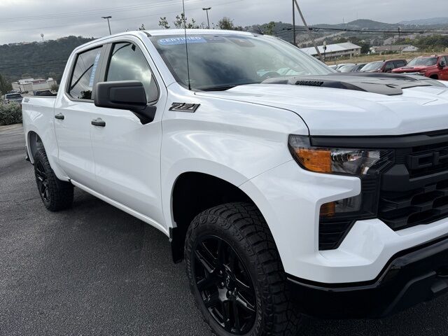 2024 Chevrolet Silverado 1500 Custom Trail Boss TX 2024 Chevrolet Silverado 1500 Custom Trail Boss TX