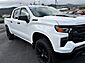 2024 Chevrolet Silverado 1500 Custom Trail Boss TX 2024 Chevrolet Silverado 1500 Custom Trail Boss TX