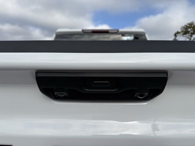 2024 Chevrolet Silverado 1500 Custom Trail Boss TX 2024 Chevrolet Silverado 1500 Custom Trail Boss TX