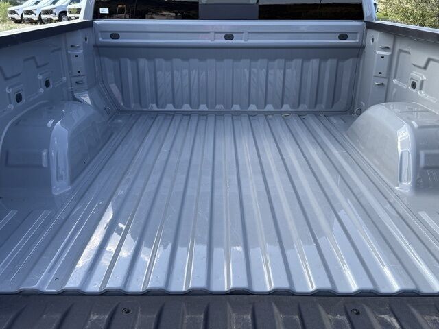 2024 Chevrolet Silverado 1500 LT  TX