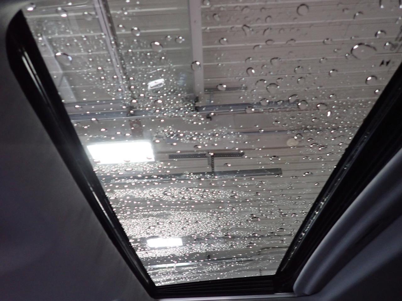 2024 Chevrolet Silverado 1500 LT Trail Boss CREW CAB 4WD LEATHER SUNROOF Listowel ON