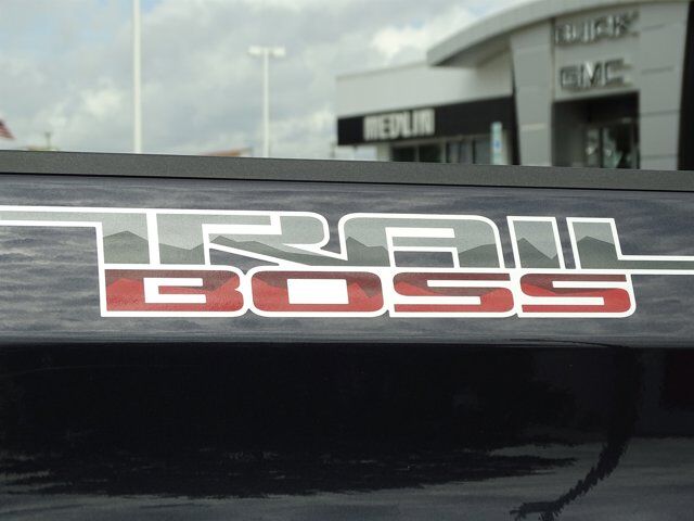 2024 Chevrolet Silverado 1500 LT Trail Boss Wilson NC