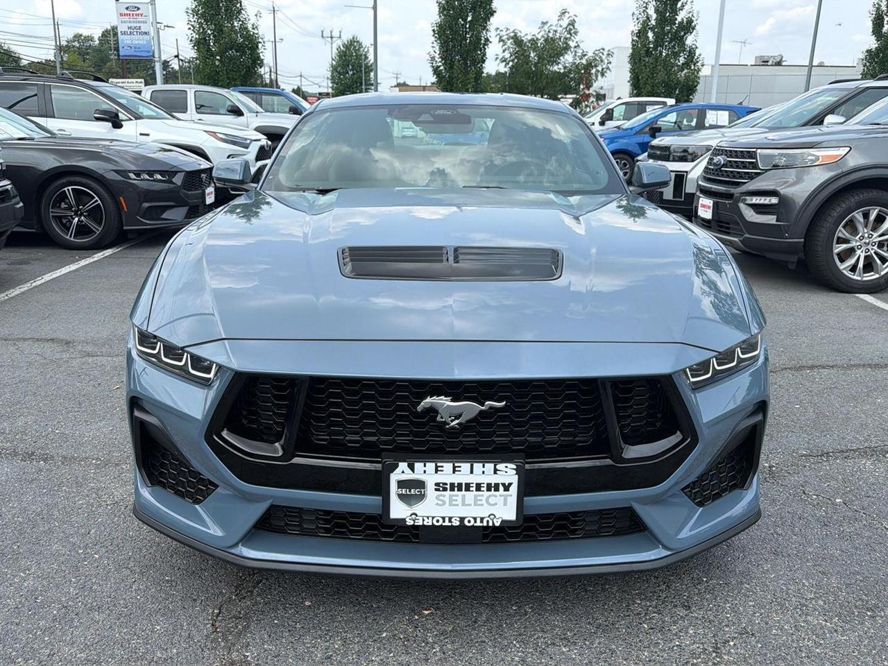 2024 FORD MUSTANG GT PREMIUM FASTBACK Gaithersburg MD