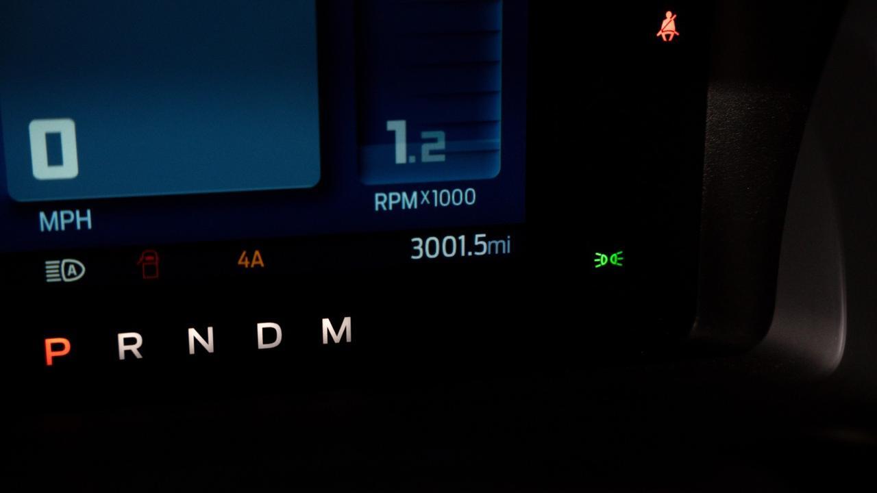 2024 Ford Bronco Everglades Franklin TN