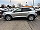 2024 Ford Escape Active Oshkosh WI