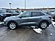 2024 Ford Escape Active Oshkosh WI