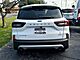 2024 Ford Escape Active Oshkosh WI