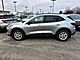 2024 Ford Escape Active Oshkosh WI