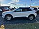 2024 Ford Escape Active Oshkosh WI